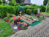 ein Bild aus dem Album