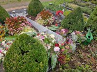 ein Bild aus dem Album