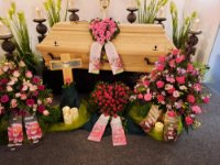 ein Bild aus dem Album