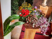 ein Bild aus dem Album