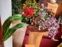 ein Bild aus dem Album